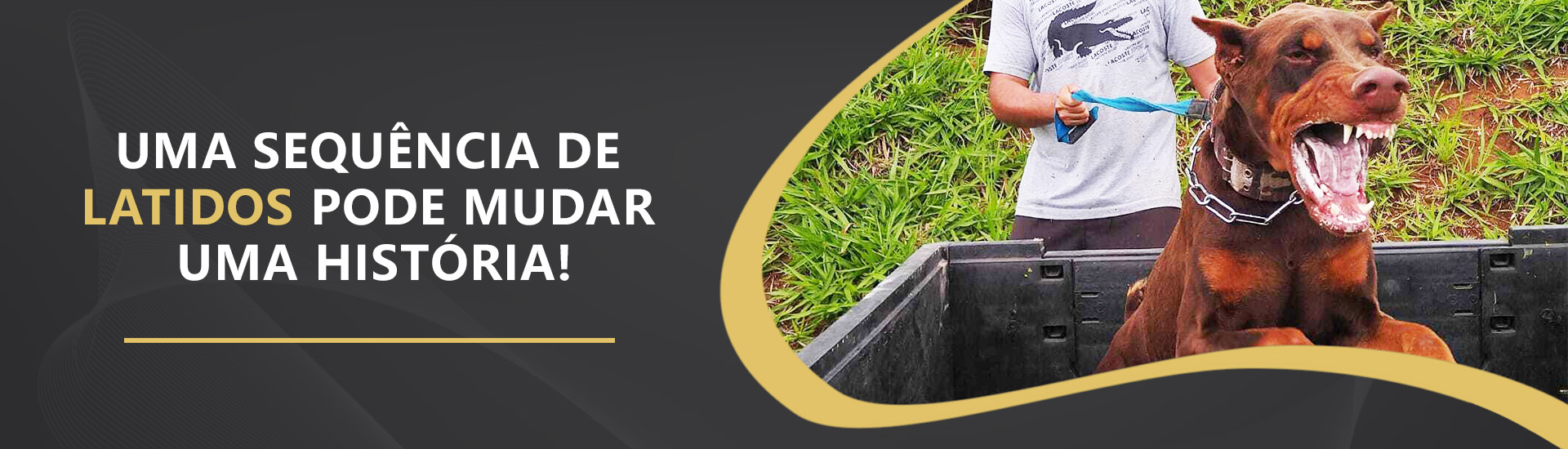Cães de guarda