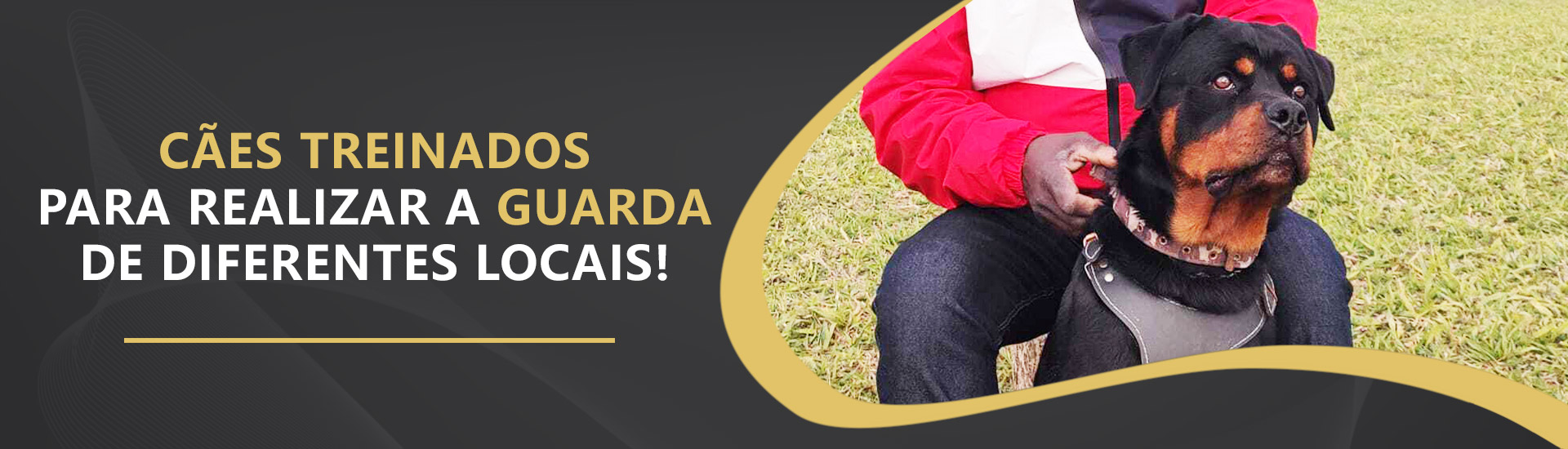 Cães de guarda para rondas