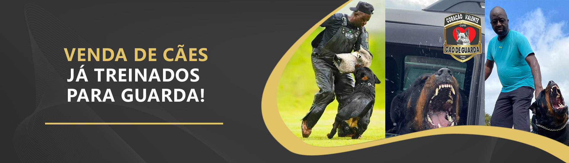 Cães de guarda para segurança pessoal